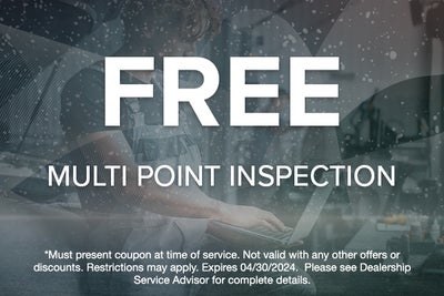 FREE Multi Point Inspection